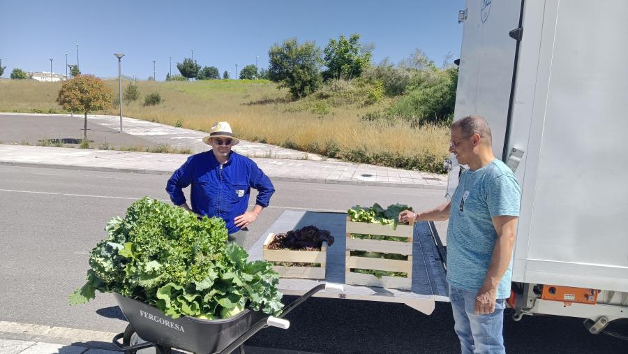 Personal do Banco de Alimentos recolle a produción hortícola da finca de prácticas da EPS de Enxeñaría Personal do Banco de Alimentos recolle a produción hortícola da finca de prácticas da EPS de Enxeñaría