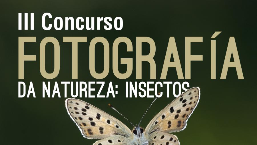 Cartel do certame
