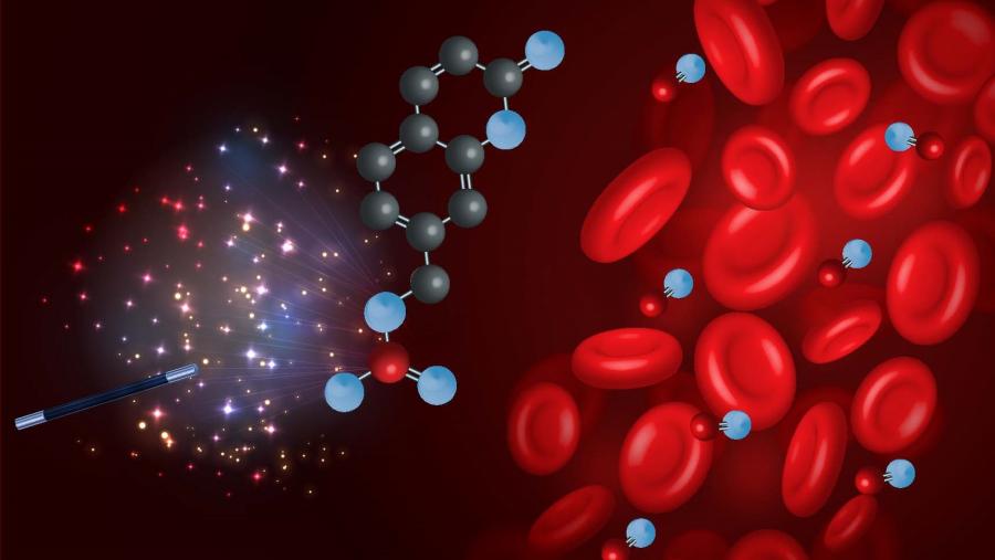 Detalle da imaxe creada por Maria João Matos para a portada do número da ChemMedChem, a revista oficial da Federación Europea de Química Medicinal, que recolle o estudo. Detalle da imaxe creada por Maria João Matos para a portada do número da ChemMedChem, a revista oficial da Federación Europea de Química Medicinal, que recolle o estudo.