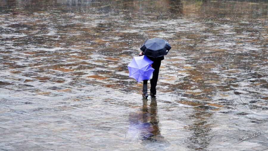Por cada 1.000 mortes de natureza cardiovascular, o estudo detectou que as xornadas de calor extrema xeraban 2,2 pasamentos adicionais; mentres que o frío extremo orixina 9,1 mortes adicionais. FOTO: Santi Alvite Por cada 1.000 mortes de natureza cardiovascular, o estudo detectou que as xornadas de calor extrema xeraban 2,2 pasamentos adicionais; mentres que o frío extremo orixina 9,1 mortes adicionais. FOTO: Santi Alvite