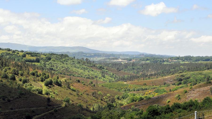 Galicia contará cun mapa forestal preciso que recollerá a superficie total forestal presente na comunidade e repartida por formacións específicas. FOTO: Santi Alvite