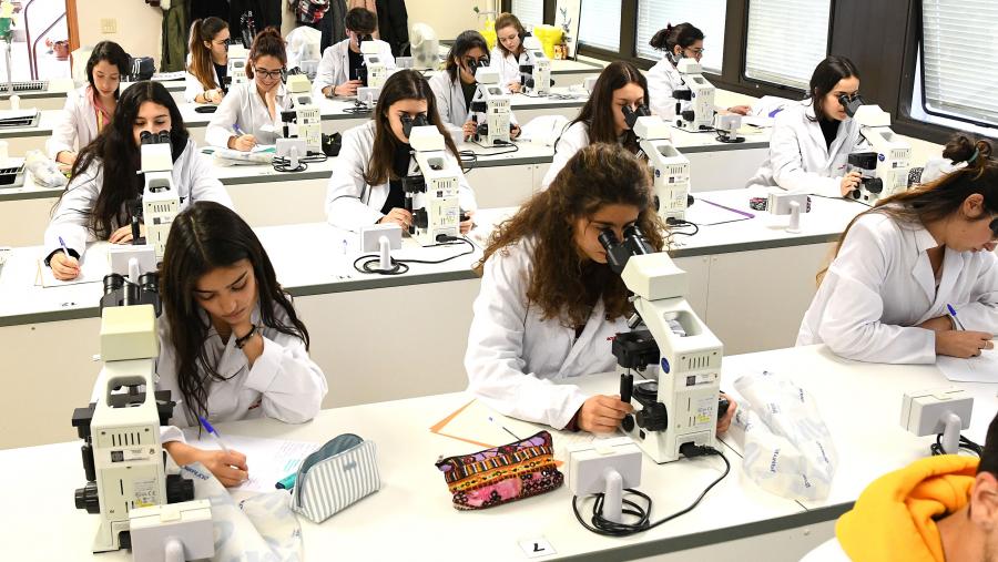 Clase práctica na Facultade de Veterinaria do Campus de Lugo. FOTO: Santi Alvite Clase práctica na Facultade de Veterinaria do Campus de Lugo. FOTO: Santi Alvite