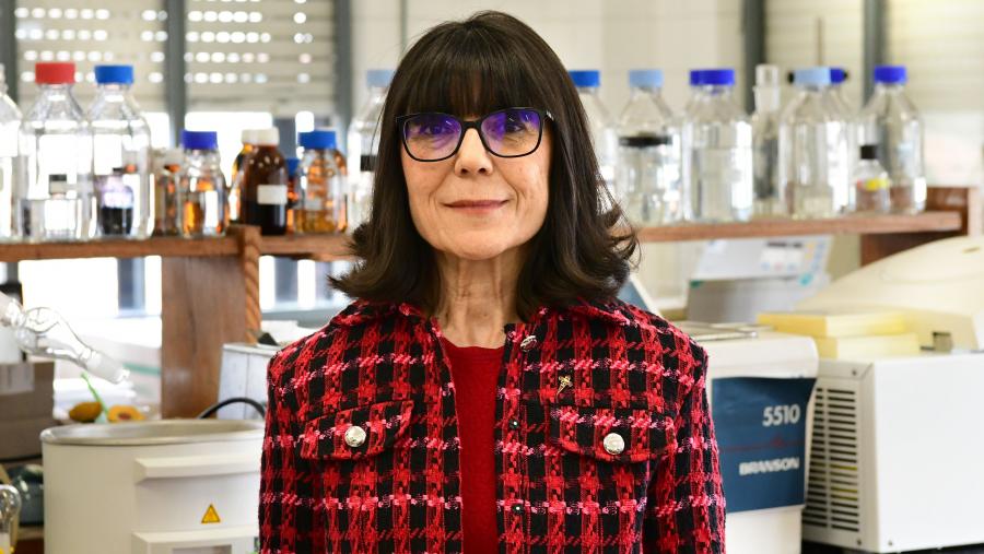 A profesora Laguna Francia é catedrática de Farmacoloxía. FOTO: Santi Alvite A profesora Laguna Francia é catedrática de Farmacoloxía. FOTO: Santi Alvite