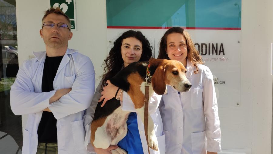 Javier Diéguez, Ángela González e Susana Muñiz de Miguel, no hospital veterinario Rof Codina Javier Diéguez, Ángela González e Susana Muñiz de Miguel, no hospital veterinario Rof Codina