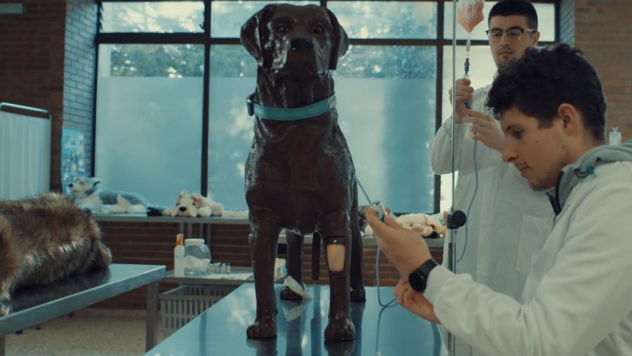 Veterinaria incorpora modelos animais de simulación Veterinaria incorpora modelos animais de simulación