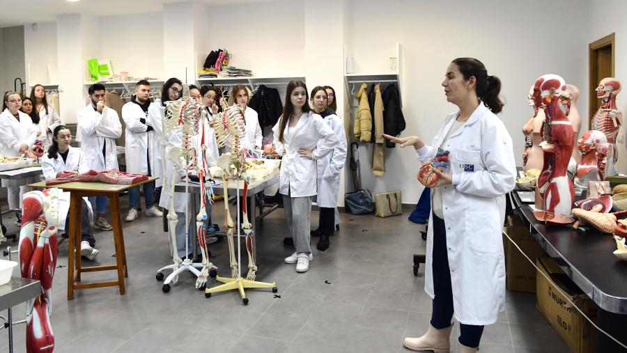 A convocatoria contempla dúas modalidades de participación dirixidas a membros e equipos do Persoal Docente e Investigador (PDI) da USC. Imaxe de arquivo dunha clase na USC. FOTO: Santi Alvite A convocatoria contempla dúas modalidades de participación dirixidas a membros e equipos do Persoal Docente e Investigador (PDI) da USC. Imaxe de arquivo dunha clase na USC. FOTO: Santi Alvite