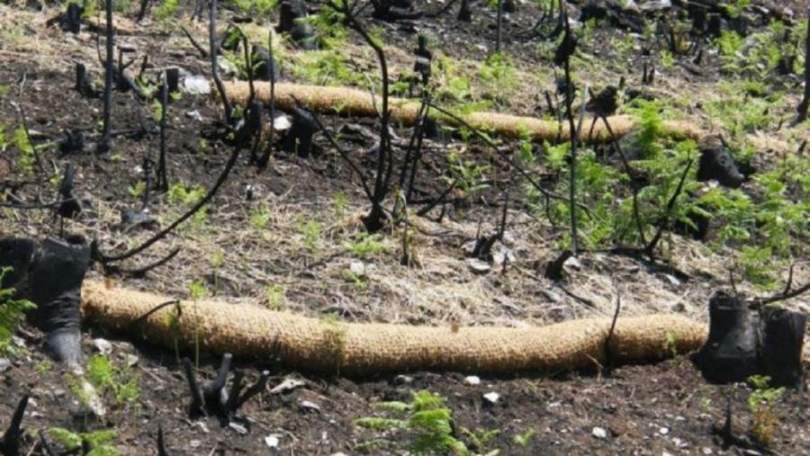 Terreos da Serra do Xurés asolados polas lapas