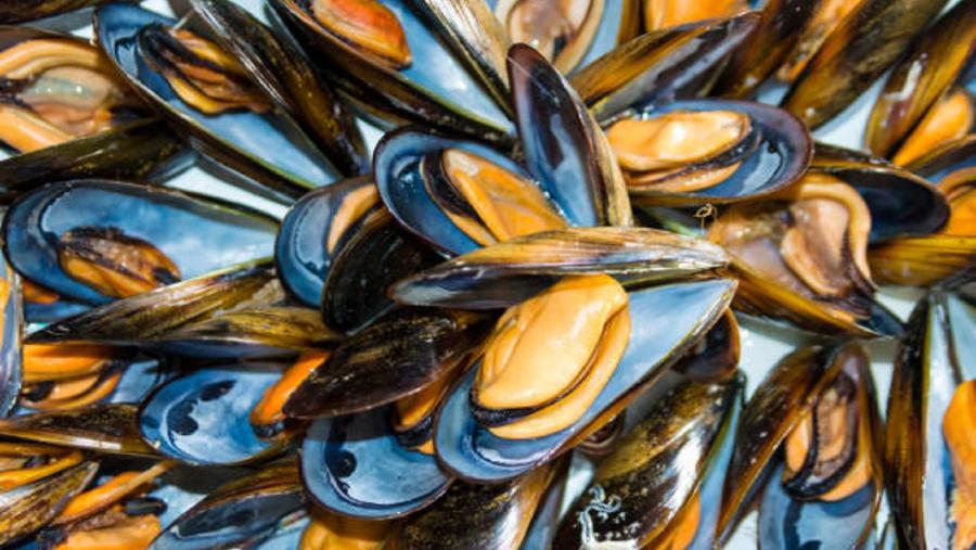 Mexillóns de Galicia. Foto de iStock Mexillóns de Galicia. Foto de iStock