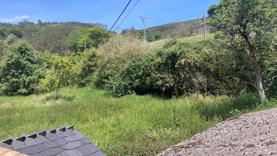 Lugar no que se levarán a cabo os traballos arqueolóxicos Lugar no que se levarán a cabo os traballos arqueolóxicos