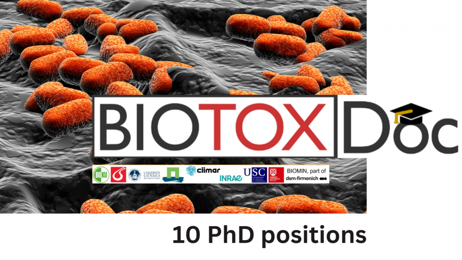Imaxe do proxecto europeo de formacion de doutores BIOTOXDoc Imaxe do proxecto europeo de formacion de doutores BIOTOXDoc