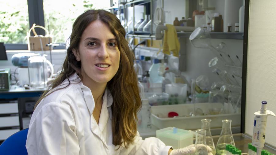 A investigadora Sandra González analiza a eficiencia de enzimas fúnxicas obtidas a partir de residuos A investigadora Sandra González analiza a eficiencia de enzimas fúnxicas obtidas a partir de residuos
