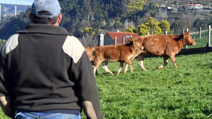 O premio quere mellorar a calidade de vida e o grao de benestar das persoas que viven no medio rural. FOTO: Santi Alvite O premio quere mellorar a calidade de vida e o grao de benestar das persoas que viven no medio rural. FOTO: Santi Alvite