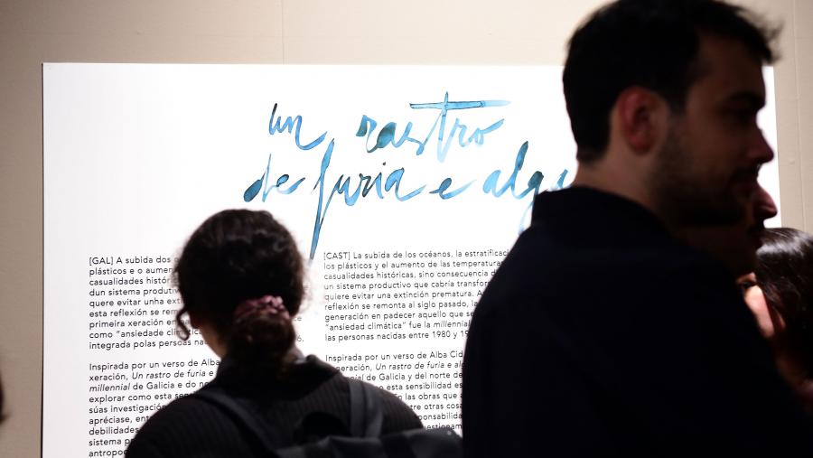 A mostra de Fonseca acolle artistas do Norte de Portugal e Galicia. FOTO: Santi Alvite