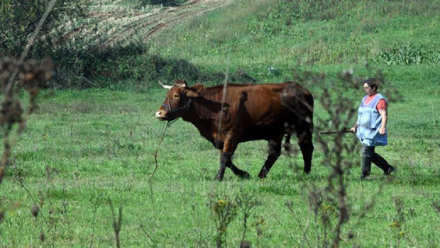 O premio quere mellorar a calidade de vida e o grao de benestar das persoas que viven no medio rural. FOTO: Santi Alvite O premio quere mellorar a calidade de vida e o grao de benestar das persoas que viven no medio rural. FOTO: Santi Alvite