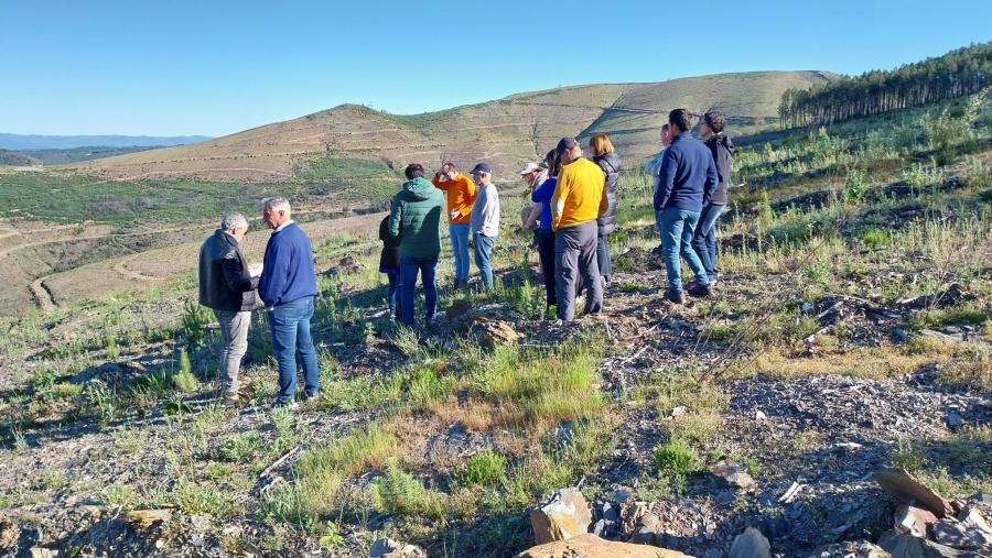 Foto A EPS de Enxeñaría experimenta co proxecto Life Silfore a rexeneración do monte para facelo máis produtivo