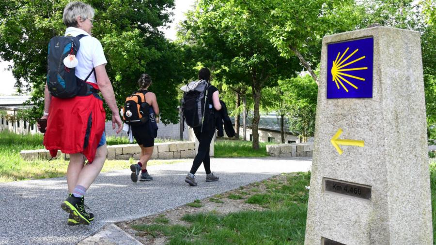 Foto A Cátedra do Camiño estrea a maior base de datos con información de peregrinos a Compostela do século XIX