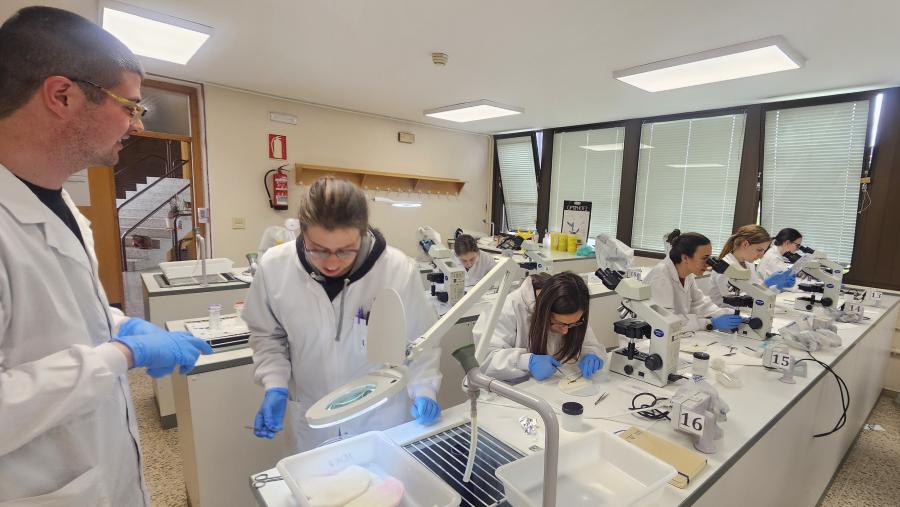 Moitas mutacións asociadas a doenzas humanas poden reproducirse no peixe cebra, circunstancia que permite observar a sintomatoloxía asociada e determinar os órganos e sistemas afectados a través de estudos microscópicos e moleculares