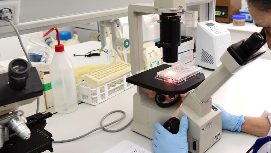 Detalle dun laboratorio da Facultade de Farmacia. FOTO: Santi Alvite