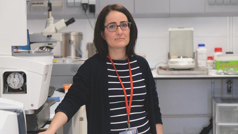 Lidera o proxecto a investigadora Oportunius do CiQUS da USC, María Giménez López. Foto: CiQUS Lidera o proxecto a investigadora Oportunius do CiQUS da USC, María Giménez López. Foto: CiQUS