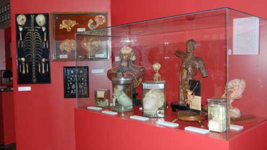 A exposición estará aberta ata o 3 de abril