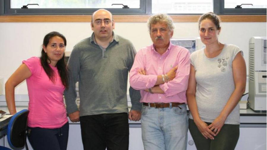 Investigadores da USC avanzan no deseño de cristais fotónicos, que poderían substituír no futuro a fibra óptica e os circuítos electrónicos