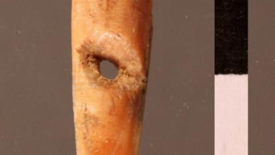 Detalle do colgante datado en máis de 26.000 anos