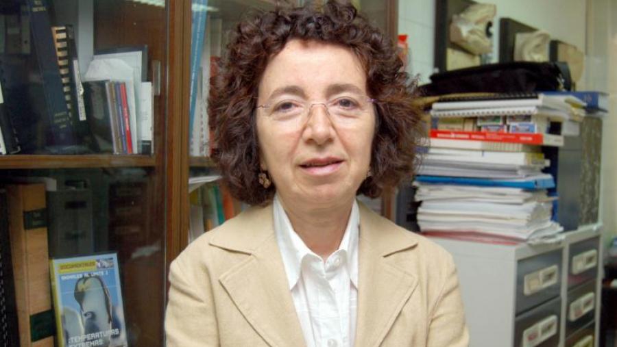 María Pilar Jiménez Aleixandre é catedrática de Didáctica das Ciencias Experimentais na USC
