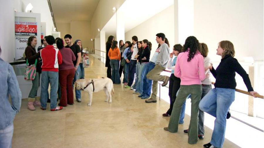 Unha investigación da USC advirte da falla de preparación do profesorado universitario fronte a alumnado con discapacidade