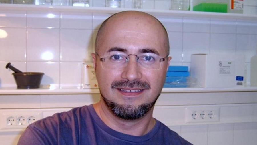 David Araújo-Vilar