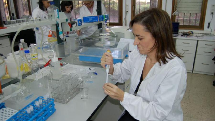 María José Alonso