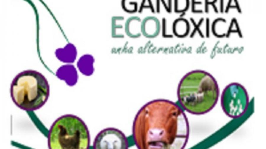 Cartaz das xornadas