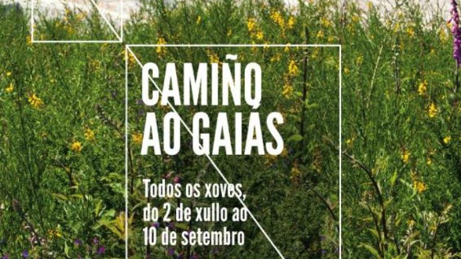 A Fundación USC Deportiva organiza este xoves unha nova rutas de ‘Camiño ao Gaiás’