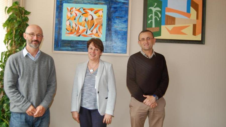 José María Anguita, Mª Isabel González e Gonzalo Fernández conforman o novo equipo decanal da Facultade de Humanidades