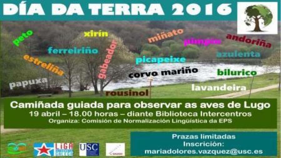 Cartaz da camiñada ornitolóxica Cartaz da camiñada ornitolóxica