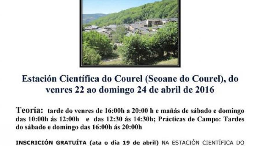 Cartaz da xornada