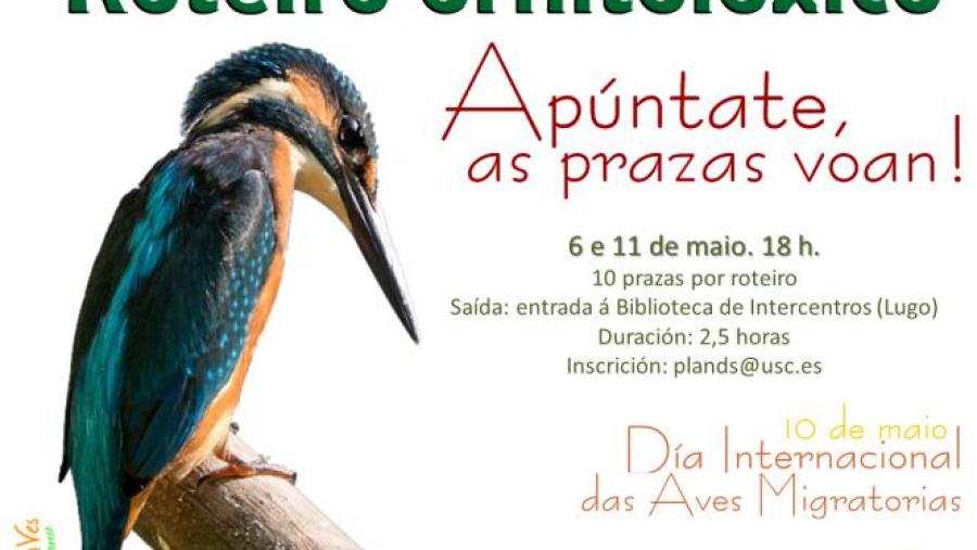 Cartaz da xornada