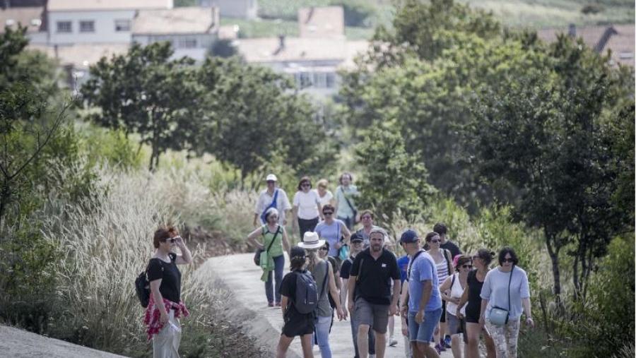 Participantes nunha das rutas do 'Camiño ao Gaiás' desenvolvidas este verán