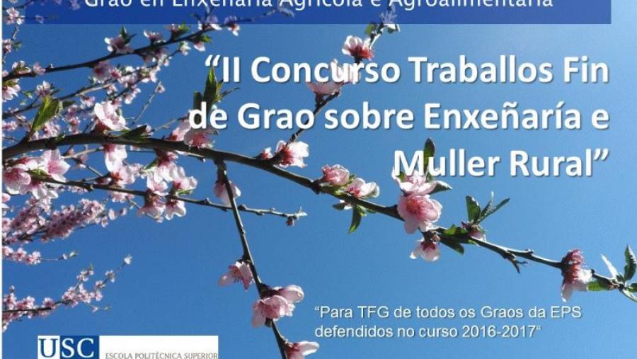Cartaz do certame