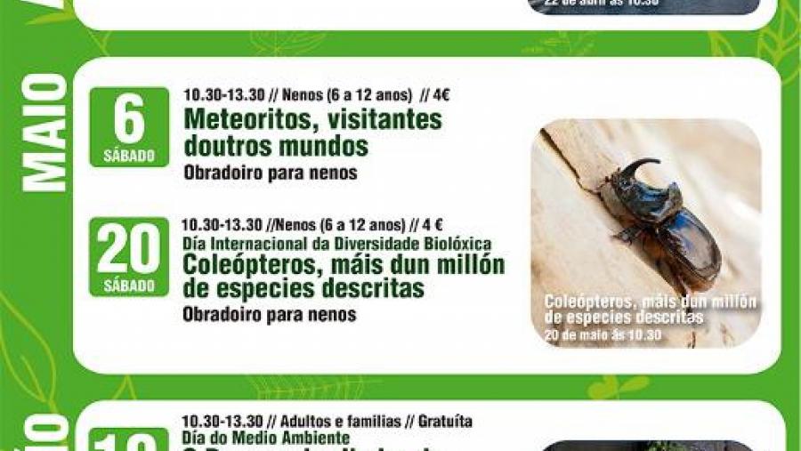 Meteoritos e coleópteros centran os obradoiros de maio do Museo de Historia Natural da USC