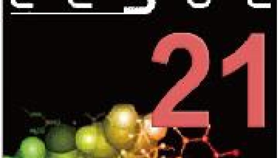 Cartaz da ECSOC-21