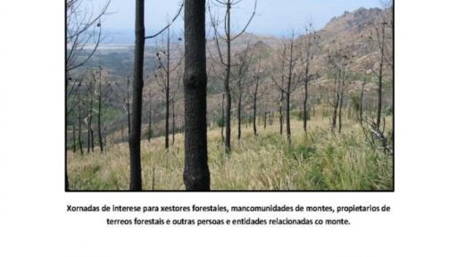 Unha xornada gratuíta debate sobre a xestión do monte incendiado tomado como referencia o Monte Pindo