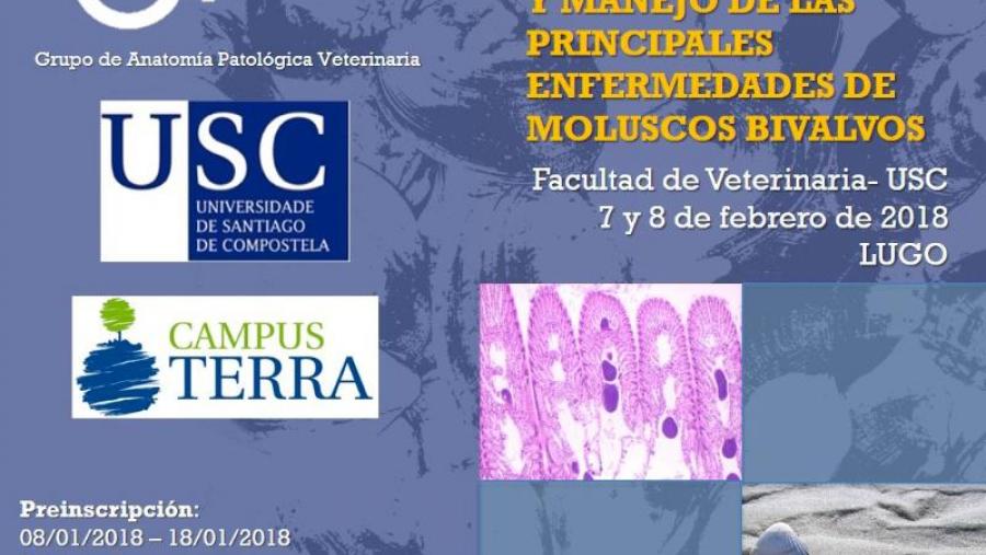 Cartaz do curso