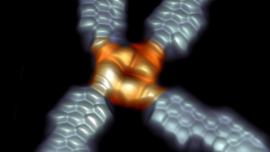 Imaxe do novo dispositivo molecular e as súas conexións a través de tiras de grafeno, obtida mediante Microscopía de Efecto Túnel (STM). / nanoGUNE