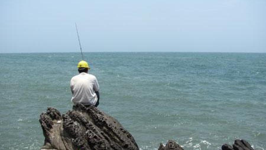 A USC lidera un proxecto para promover a sustentabilidade da pesca marítima recreativa en España