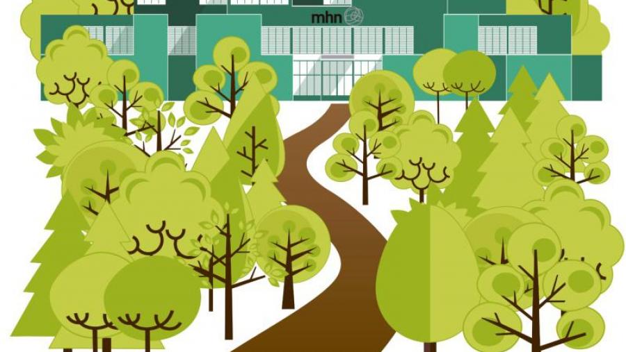 O Museo de Historia Natural organiza dúas actividades para celebrar o Día do Medio Ambiente