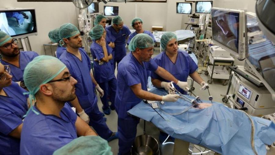 En Ciencias veterinarias, a USC acada a súa mellor clasificación no ránking de Shangai por materias. Imaxe de arquivo