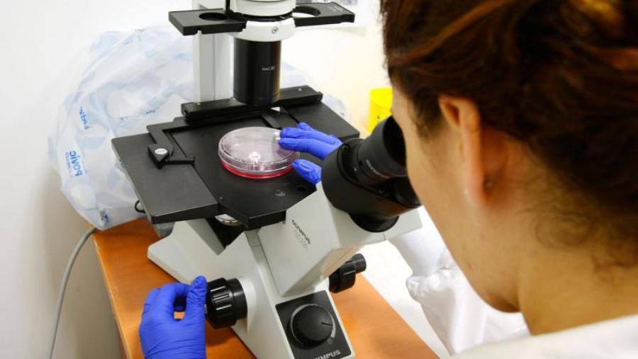 A capacidade investigadora é un dos aspectos mellor valorado polos ránkings referidos. Foto: RQ