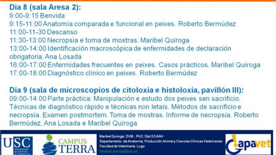 Cartaz do curso