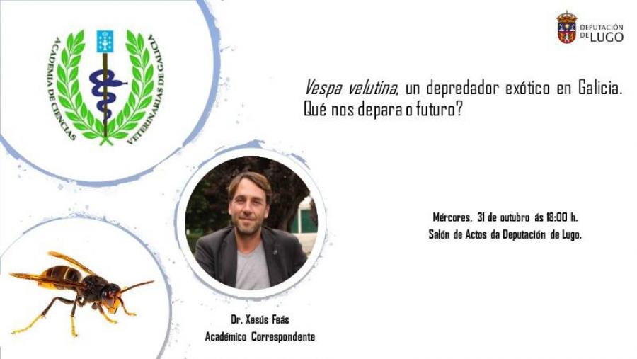 Cartaz da sesión