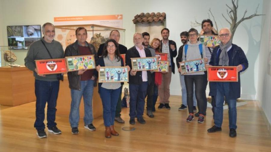 Reclaman máis recursos para investigación e axudas aos sectores afectados pola vespa velutina